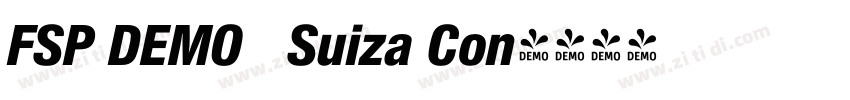 FSP DEMO   Suiza Con字体转换